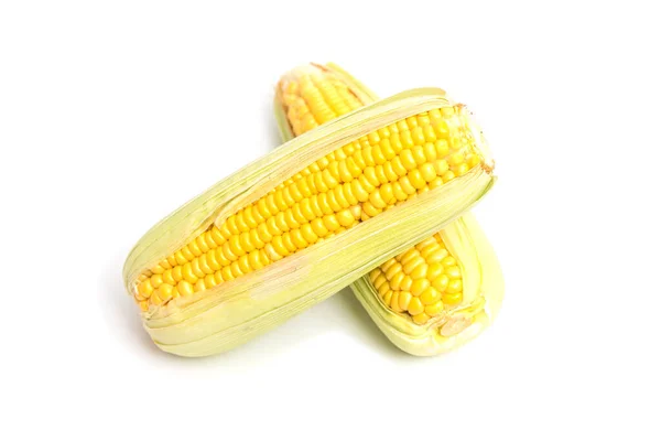 Dvě Ucho Sladké Kukuřice Izolované Bílém Pozadí — Stock fotografie