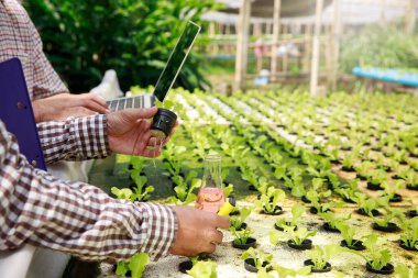 Akıllı tarım teknolojisi konsepti - Çiftçi bitki yetiştirme çiftliğinde organik hidroponik kırmızı meşenin su ph değerini kırıyor. Akıllı tarım