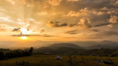 Tayland, Chiang Mai 'deki pirinç teraslarının güzel manzarası. Teras pirinç tarlalarında gün ışığıyla filizlenen pirinç..