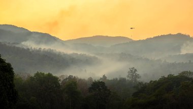 Vahşi ateş felaketi dağlarda ormanları yakıyor. Acil servis helikopteri dağlardaki ormanı yakan orman yangınlarını söndürmek için su bırakıyor..