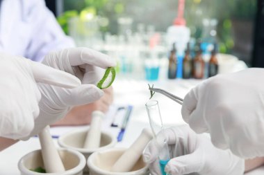 Bilim adamı ya da doktor masadaki laboratuvarda bitkisel ilaç yapıyor. Bitkisel bitki ilacıyla. Laboratuvarda doğal olan organik..
