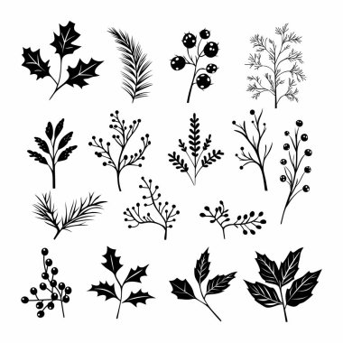 Noel vekil bitkileri, noel ağacı, çam, yapraklar dallar, tatil süslemeleri, izole kış sembolleri, klasik doğa illüstrasyonu