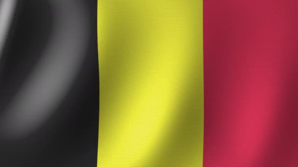ベルギーの国旗風にゆっくりとなびく シームレスなアニメーション3D — ストック動画