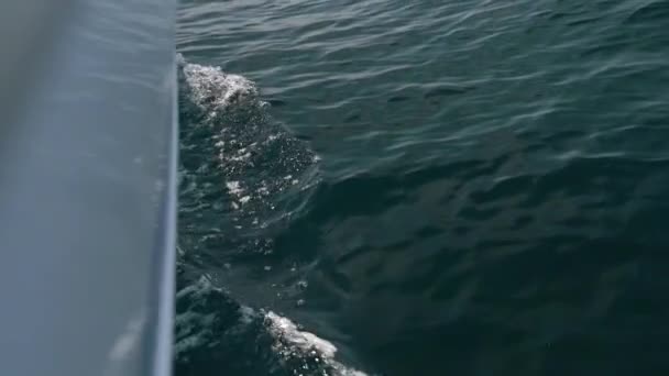 白いヨットの弓は海の波を切る スローモーション — ストック動画