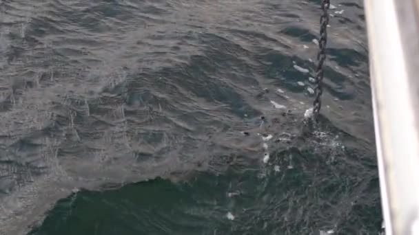 Піднімаємо Ланцюг Якоря Білій Яхті Повільний Рух — стокове відео