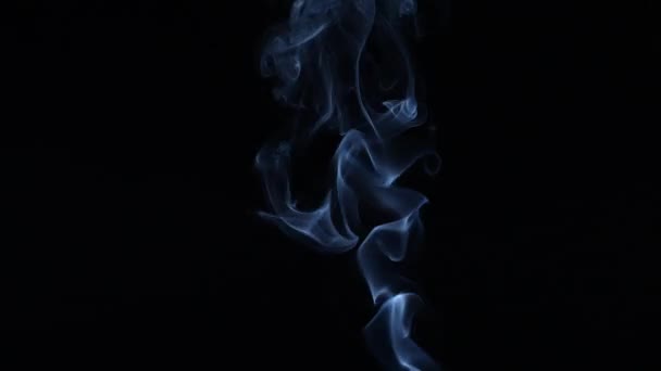 Τσιγάρα Καπνού Από Τσιγάρο Μαύρο Φόντο Κοντινό Πλάνο — Αρχείο Βίντεο