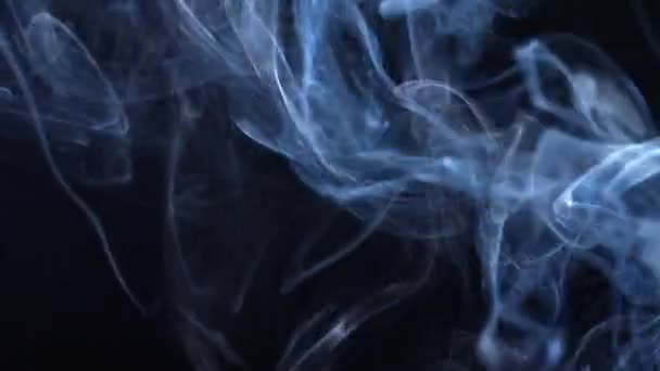Füstfelhők Egy Fekete Hátterű Cigarettából Közelkép — Stock videók