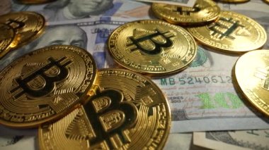 100 dolarlık banknotlar, bitcoin paralar ve parlayan elektrik lambaları. Dolly vurdu.