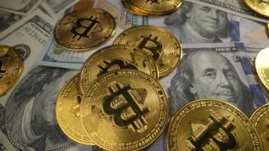 100 dolarlık banknotlar, bitcoin paralar ve parlayan elektrik lambaları. Dolly vurdu.