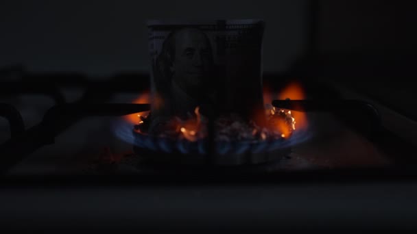 Uma Nota 100 Dólares Queima Num Fogão Gás Movimento Lento — Vídeo de Stock