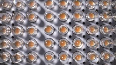 LED panel with many diodes. Dolly shot. Daylight 5500K