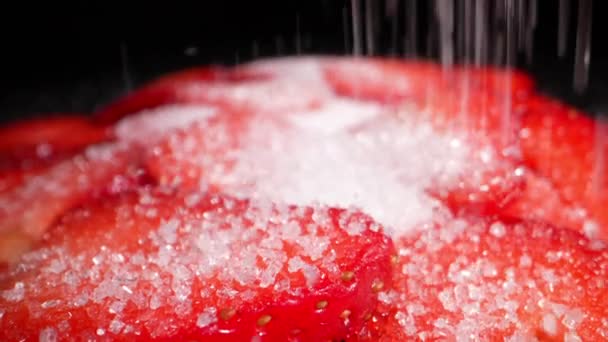 매콤하고 딸기에 설탕을 뿌린다 — 비디오