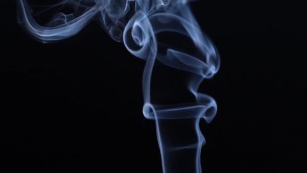 Puffs Smoke Cigarette Black Background Close Slow Motion — Stock Video