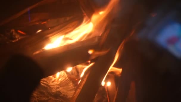 Brûler Bois Chauffage Dans Une Cheminée Gros Plan Derrière Verre — Video