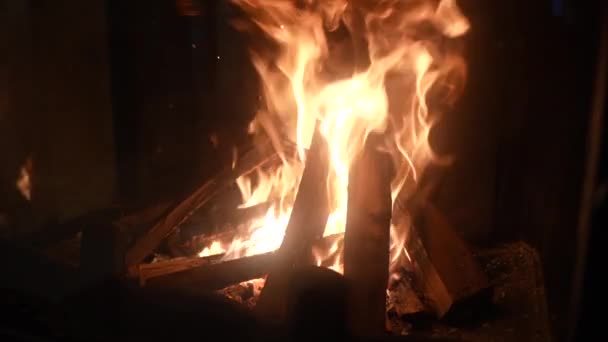 Brandend Brandhout Een Open Haard Van Dichtbij Achter Glas Langzame — Stockvideo