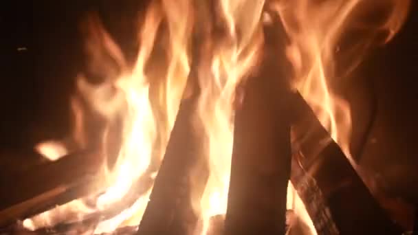 Brûler Bois Chauffage Dans Une Cheminée Gros Plan Derrière Verre — Video