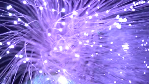 ディスコパーティーでのモダンな紫色の色のガラス繊維ランプ — ストック動画