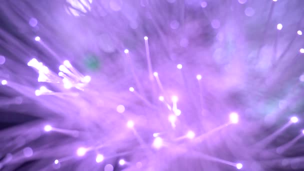 ディスコパーティーでのモダンな紫色の色のガラス繊維ランプ — ストック動画