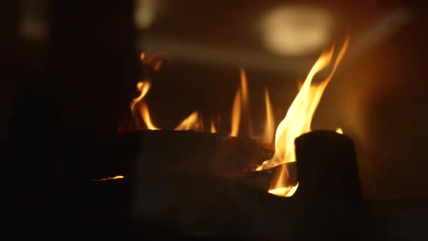 Bruciare Legna Camino Primo Piano Dietro Vetro Rallentatore — Video Stock