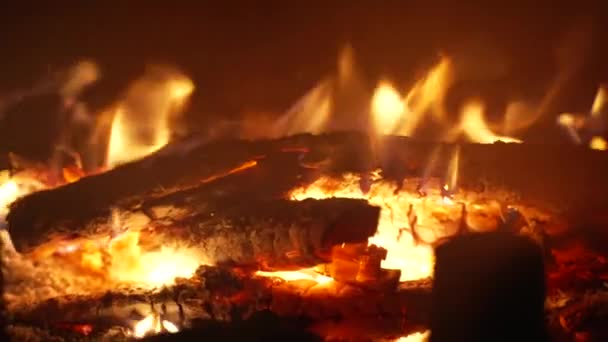 Membakar Kayu Bakar Perapian Close Belakang Kaca Gerakan Lambat — Stok Video