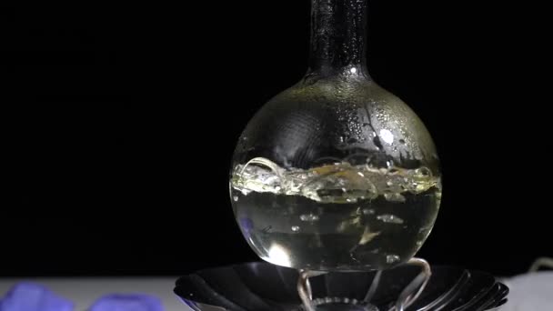 Жидкость Кипит Лабораторной Фляжке Газовой Горелке Принимать Наркотики Лаборатории Химическая — стоковое видео
