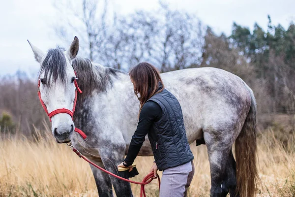 Equitazione Cavallo Preparazione Sportiva Campagna Ritratto Del Piccolo Imprenditore Professionista — Foto Stock