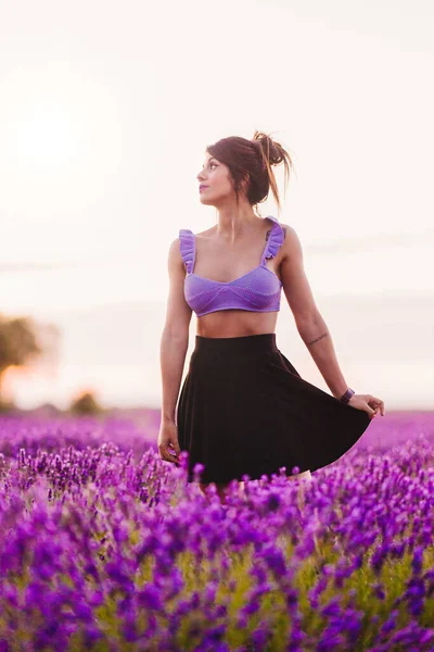 Zomervakantie Lentevakantie Schoonheid Geluk Outdoor Een Paarse Voorzienigheid Bloem Lavendel — Stockfoto