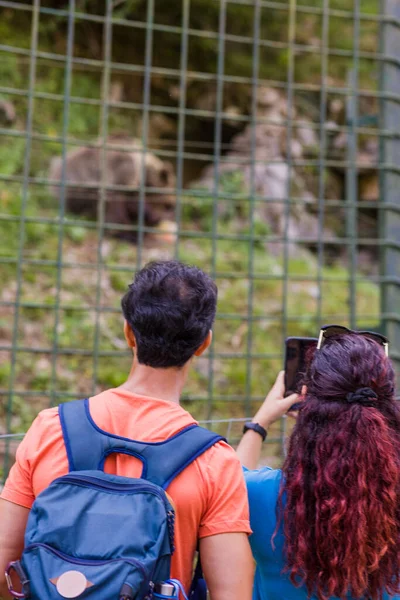 Latynoska Kobieta Robi Zdjęcie Przez Ogrodzenie Zoo Zewnątrz Dzika Przyroda — Zdjęcie stockowe