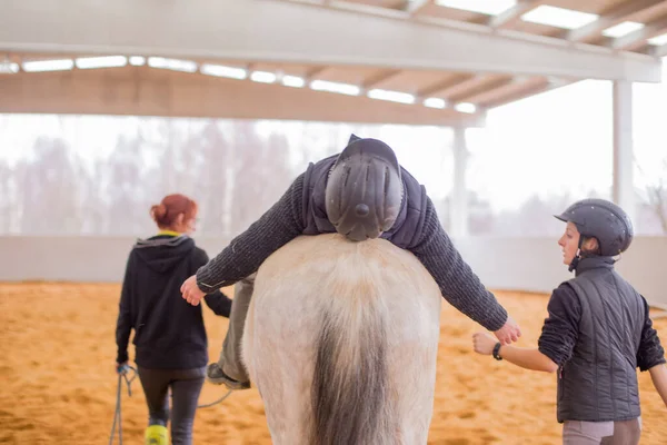 Wellness and psychotherapy or occupational therapy with horses. Professional health equine therapy for mental health treatment