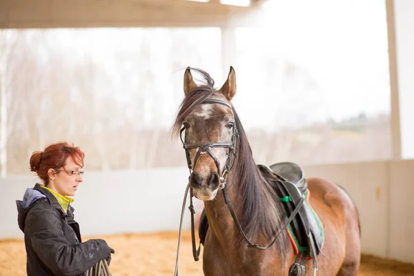 Paardrijden Paardrijschool Portret Spaanse Jaar Professionele Manager Werknemer Temmen Een — Stockfoto