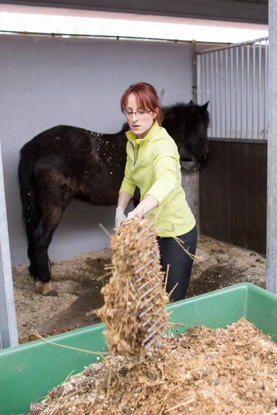 小企业主 农村妇女 为动物护理工作清洗和清洁马厩 农业用马粪堆肥 — 图库照片