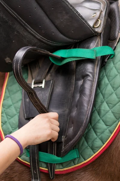 马场马场马场马场马场马术速成训练 骑手专业运动员准备马背上装备 — 图库照片