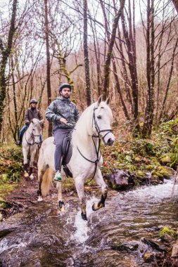 Countryside portrait from Santiago Catholicism culture peregrination doing a world heritage route in Eume. Outdoor lifestyle adventure with Andalusian pure Spanish horse clipart