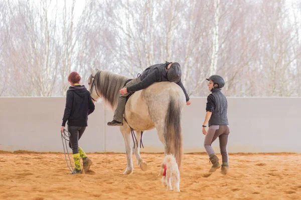 Bem Estar Psicoterapia Terapia Ocupacional Com Cavalos Saúde Profissional Equoterapia — Fotografia de Stock