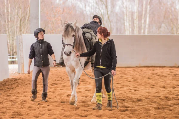 Wellness and psychotherapy or occupational therapy with horses. Professional health equine therapy for mental health treatment