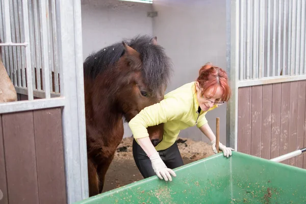 小企业主 农村妇女 为动物护理工作清洗和清洁马厩 农业用马粪堆肥 — 图库照片