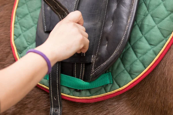马场马场马场马场马场马术速成训练 骑手专业运动员准备马背上装备 — 图库照片