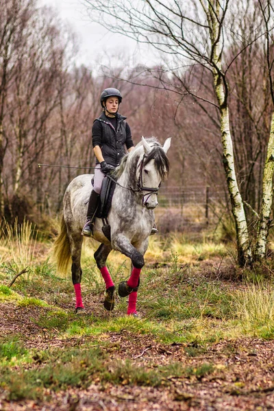 Equitazione Cavallo Professionista Atleta Proprietario Piccola Impresa Bellissimo Ritratto All — Foto Stock