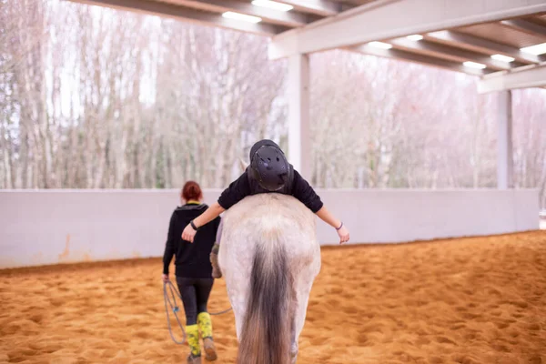 Terapia Tratamento Profissional Equinos Cavalo Terapeuta Assistência Médica Para Cavaleiro — Fotografia de Stock