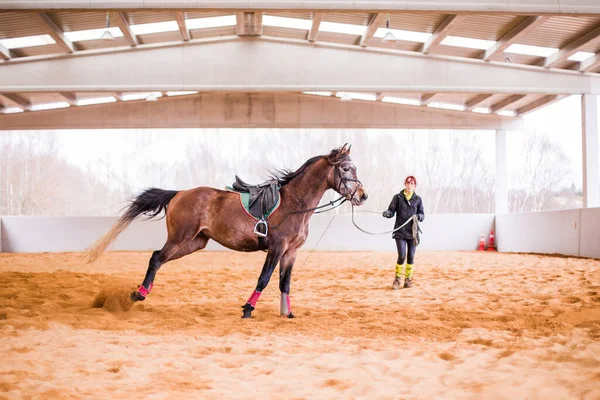 Paardrijden Paardrijschool Portret Spaanse Jaar Professionele Manager Werknemer Temmen Een — Stockfoto
