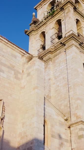 Catedral Los Santos Justo Pastor 教科文组织西班牙建筑 古代天主教宗教传统 用于故事的慢动作垂直方向 金宝射击技术 — 图库视频影像