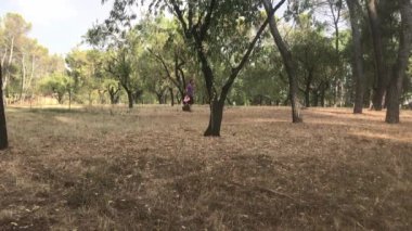 Olgun bir beyaz adam oryantasyon yarışına katılıyor, ağaçların arasında geziniyor ve bir kontrol noktası kuruyor.