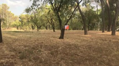 Yönlendirme yarışması sırasında orman arazisinde gezinen deneyimli erkek sporcu, patika koşarken stratejik olarak turuncu beyaz kontrol noktası bayrağına ulaşıyor.