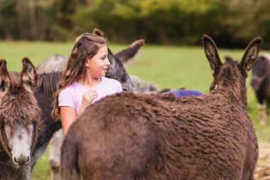 Kız, quiros, asturias, spain, çevresel eğitimi destekleyen bir sığınakta hayvan bakımı ve eşeklerle etkileşim kurmayı öğreniyor.