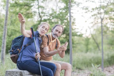 Yaşlı çift Madrid, İspanya 'da bir ormanda yürüyüş yaparken akıllı telefon ve yürüyüş direği kullanıyor.