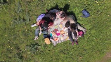 Güneşli bir günde yeşil bir parkta neşeli bir piknik sırasında çeşitli arkadaşlar yemek ve kahkaha paylaşıyor.