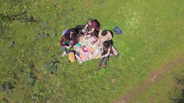 Çok ırklı arkadaşlar çimenlerin üzerinde uzanır, yemeklerini paylaşır, güneşli park pikniğinde birlikte güler, havadan perspektiften neşeli anları yakalar.