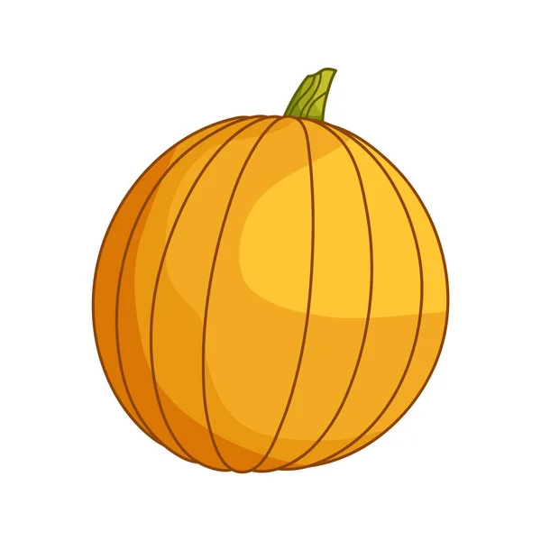 Icône Plate Citrouille Signe Halloween Pictogramme Thanksgiving Récolte Ferme Courge — Image vectorielle
