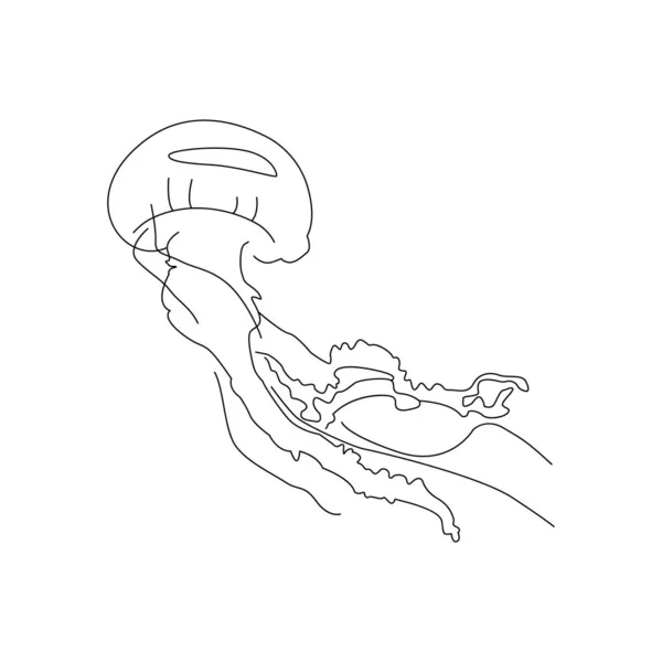 Милі Мультяшні Морські Медузи Ізольовані Векторні Ілюстрації Лінійному Стилі Простий — стоковий вектор