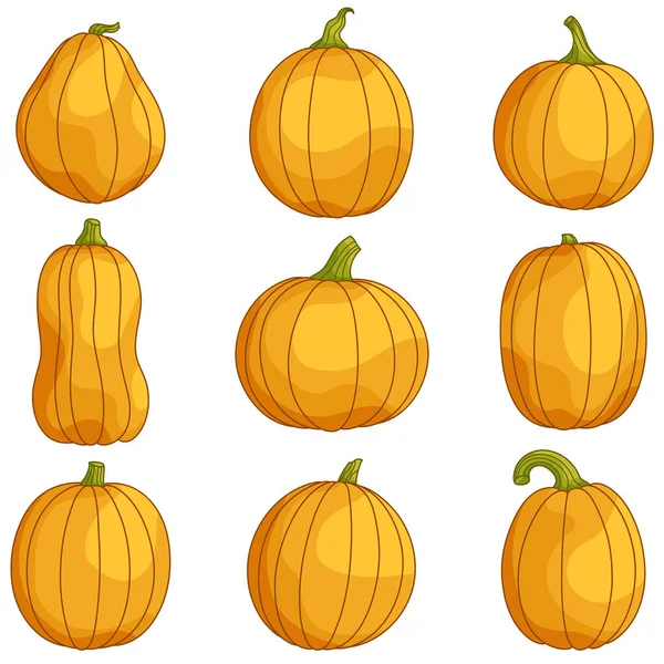 Narancssárga Tök Gyűjtemény Halloweenre Hálaadásra Aratási Fesztiválra Állítsa Aranyos Sütőtök — Stock Vector